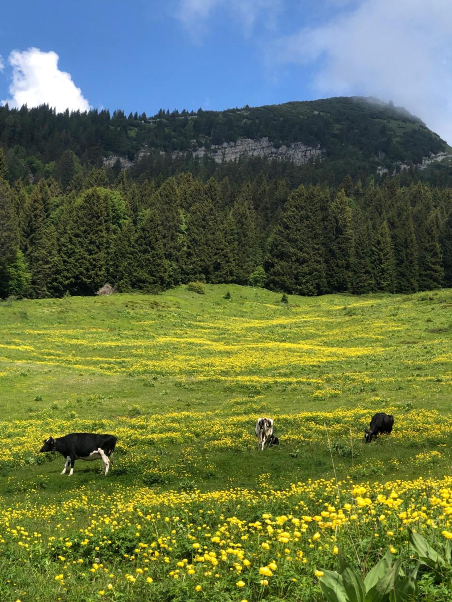 Appartamento Silene Tremalzo Esterno foto